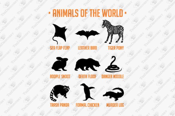 Animals of the World Funny Zoology Review