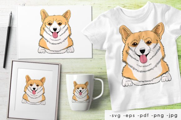 Portrait of the Funny Corgi Dog Review